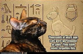 Image result for Cat Worship Meme