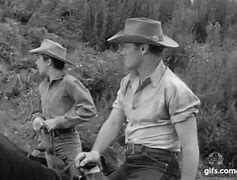 Image result for Old Western Television Series