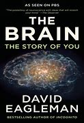 Image result for The Brain Book