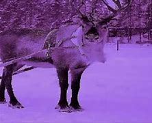 Image result for Reindeer Pajamas
