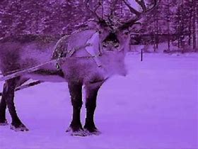 Image result for Reindeer Costumes Adult