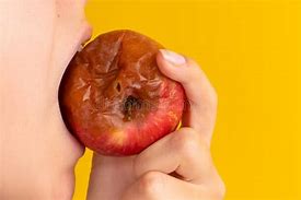 Image result for Rotten Apple with Worm