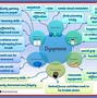 Image result for What Do People Look Like with Dyspraxia