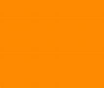 Image result for Orange Color Images