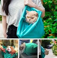 Image result for Carry Case for Two Cats