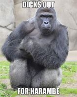 Image result for Out for Harambe Meme