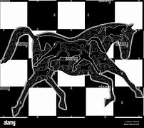 Image result for Synthetic Horse Racing Surface