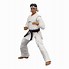 Image result for Karate Kid Action Figure