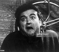 Image result for Belushi Animal House