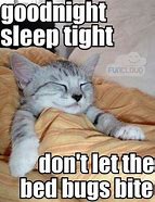 Image result for Oncall All-Night Meme