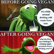 Image result for Vegan Milk Meme