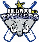 Image result for Tuskers Cricket South Africa