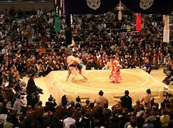 Image result for Sumo Divisions