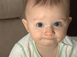 Image result for test-tube babies