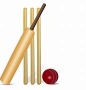 Image result for Cricket Bat Animated