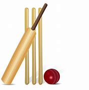 Image result for Cricket Game Cartoon