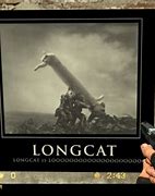 Image result for Longcat Meme