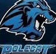Image result for Polecat324 DOJ Logo