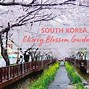 Image result for South Korea National Flower