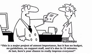 Image result for Project Management Humor Cartoons