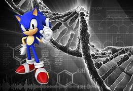 Image result for Hedgehog Protein