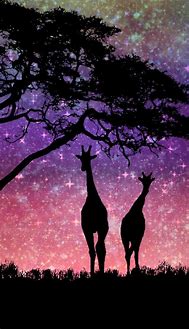 Image result for Galaxy Giraffe