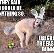 Image result for Good Easter Meme