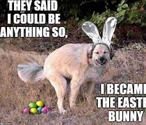 Image result for Happy Easter Work Meme