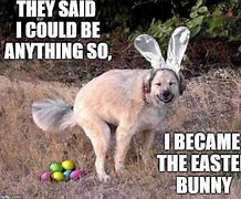 Image result for He Was an Easter Egg Meme