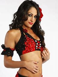 Image result for WWE Nikki Bella 13