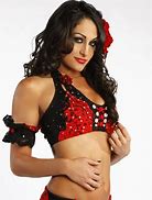 Image result for WWE Nikki Bella 13