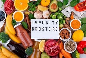 Image result for Gut Health and Immunity