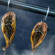 Image result for Fish Hook for Smoker