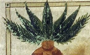 Image result for Medieval Herbs