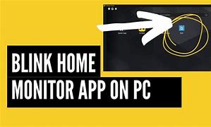Image result for Blink Camera App for Windows 11