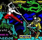 Image result for Kung Fu Warrior Art