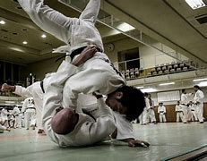 Image result for Judo Japan