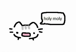 Image result for Silly Cat PFP
