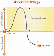 Image result for Activation Energy
