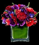 Image result for Red White and Purple Flowers