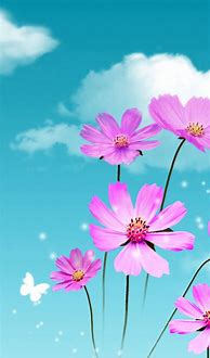 Image result for Wallpaper for iPhone 14 Pro Flower