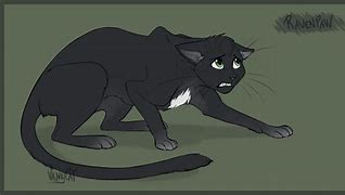 Image result for Ravenpaw Warrior Cats