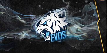 Image result for Logo Evos HD