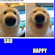 Image result for Happy Sad Meme