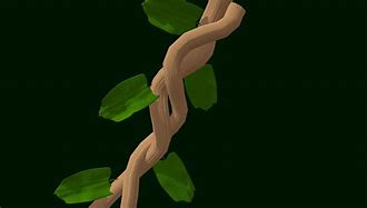 Image result for Abstract Vines