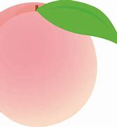 Image result for Peach Clip Art