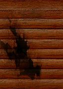 Image result for Burned Wood Texture