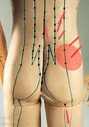 Image result for Acupressure Points for Sciatica