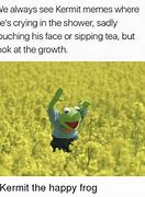 Image result for Kermit the Frog Lipton Tea Meme
