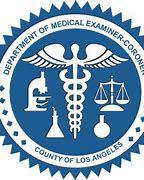 Image result for Medical Logo with Letter X